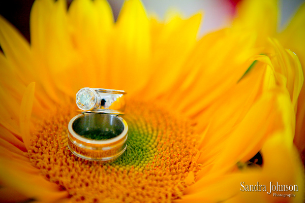 Best Napa Valley Wedding Photos - Sandra Johnson (SJFoto.com)